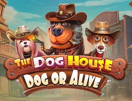 The Dog House - Dog or Alive